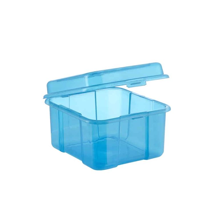 Caja Organizadora 2,5 L